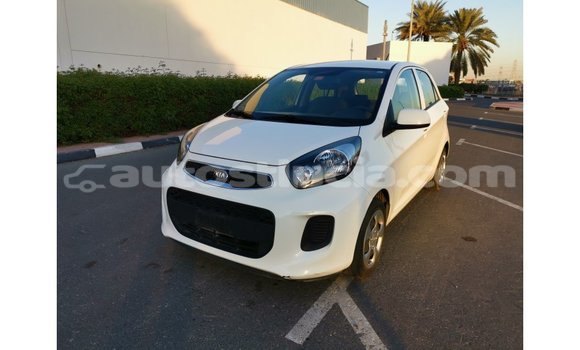 Buy Import Kia Picanto White Car in Import - Dubai in Anse-la-Raye Buy Import Kia Picanto White Car in Import - Dubai in Anse-la-Raye