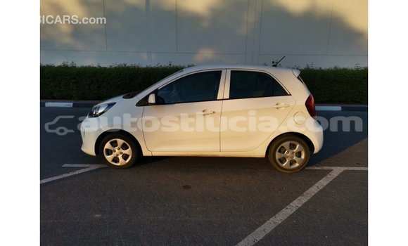 Buy Import Kia Picanto White Car in Import - Dubai in Anse-la-Raye Buy Import Kia Picanto White Car in Import - Dubai in Anse-la-Raye