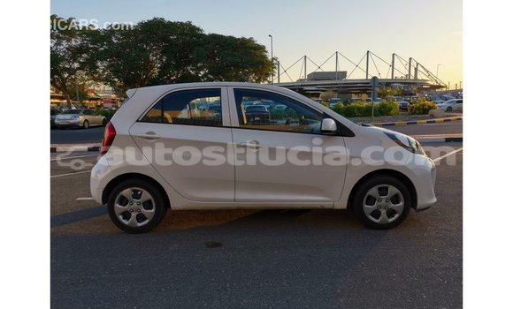 Buy Import Kia Picanto White Car in Import - Dubai in Anse-la-Raye Buy Import Kia Picanto White Car in Import - Dubai in Anse-la-Raye