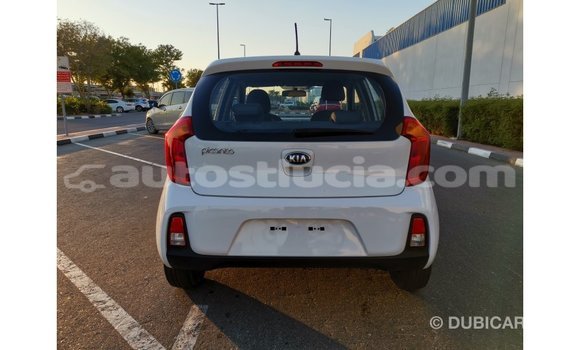 Buy Import Kia Picanto White Car in Import - Dubai in Anse-la-Raye Buy Import Kia Picanto White Car in Import - Dubai in Anse-la-Raye