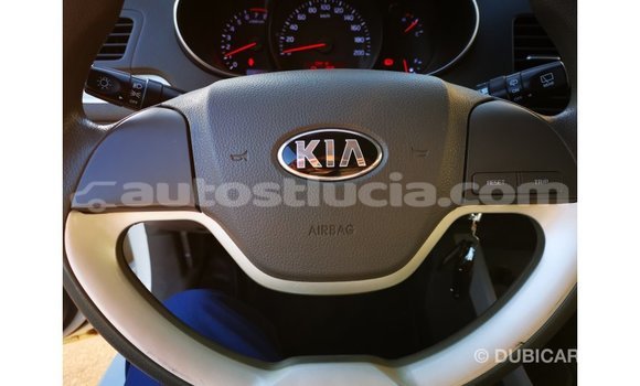 Buy Import Kia Picanto White Car in Import - Dubai in Anse-la-Raye Buy Import Kia Picanto White Car in Import - Dubai in Anse-la-Raye