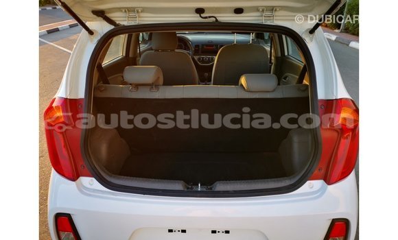 Buy Import Kia Picanto White Car in Import - Dubai in Anse-la-Raye Buy Import Kia Picanto White Car in Import - Dubai in Anse-la-Raye