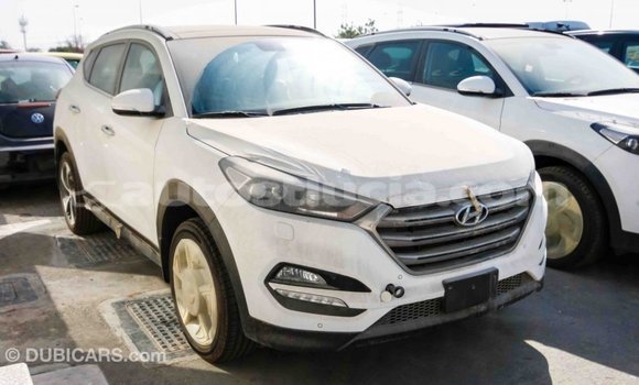 Buy Import Hyundai Tucson White Car in Import - Dubai in Anse-la-Raye Buy Import Hyundai Tucson White Car in Import - Dubai in Anse-la-Raye
