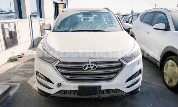 Buy Import Hyundai Tucson White Car in Import - Dubai in Anse-la-Raye Buy Import Hyundai Tucson White Car in Import - Dubai in Anse-la-Raye