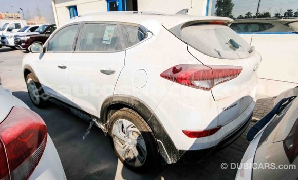 Buy Import Hyundai Tucson White Car in Import - Dubai in Anse-la-Raye Buy Import Hyundai Tucson White Car in Import - Dubai in Anse-la-Raye