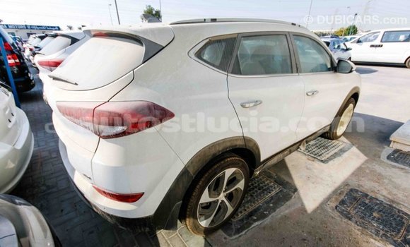 Buy Import Hyundai Tucson White Car in Import - Dubai in Anse-la-Raye Buy Import Hyundai Tucson White Car in Import - Dubai in Anse-la-Raye
