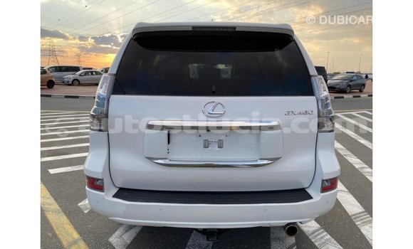 Buy Import Lexus GX White Car in Import - Dubai in Anse-la-Raye Buy Import Lexus GX White Car in Import - Dubai in Anse-la-Raye