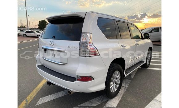 Buy Import Lexus GX White Car in Import - Dubai in Anse-la-Raye Buy Import Lexus GX White Car in Import - Dubai in Anse-la-Raye