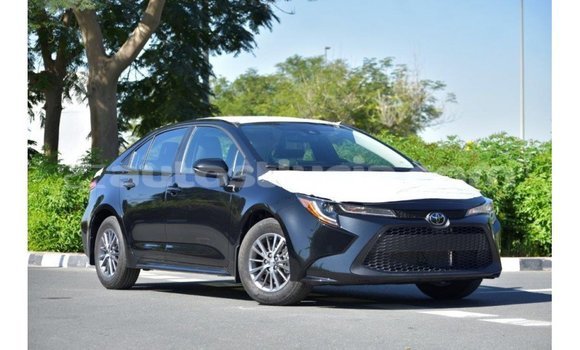 Buy Import Toyota Corolla Black Car in Import - Dubai in Anse-la-Raye Buy Import Toyota Corolla Black Car in Import - Dubai in Anse-la-Raye