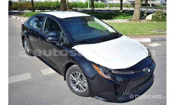 Buy Import Toyota Corolla Black Car in Import - Dubai in Anse-la-Raye Buy Import Toyota Corolla Black Car in Import - Dubai in Anse-la-Raye