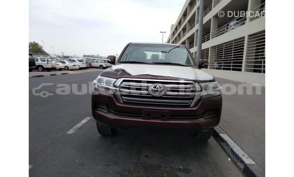 Buy Import Toyota Land Cruiser Brown Car in Import - Dubai in Anse-la-Raye Buy Import Toyota Land Cruiser Brown Car in Import - Dubai in Anse-la-Raye