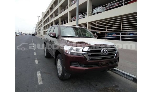 Buy Import Toyota Land Cruiser Brown Car in Import - Dubai in Anse-la-Raye Buy Import Toyota Land Cruiser Brown Car in Import - Dubai in Anse-la-Raye