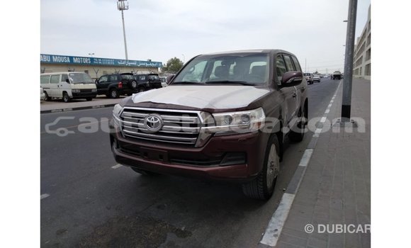 Buy Import Toyota Land Cruiser Brown Car in Import - Dubai in Anse-la-Raye Buy Import Toyota Land Cruiser Brown Car in Import - Dubai in Anse-la-Raye