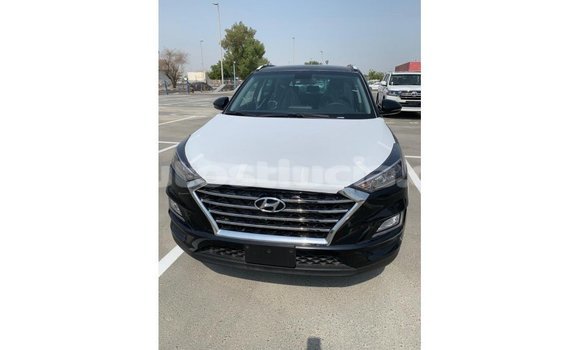 Acheter Import Voiture Hyundai Tucson Noir à Import - Dubai, Anse-la-Raye Acheter Import Voiture Hyundai Tucson Noir à Import - Dubai, Anse-la-Raye