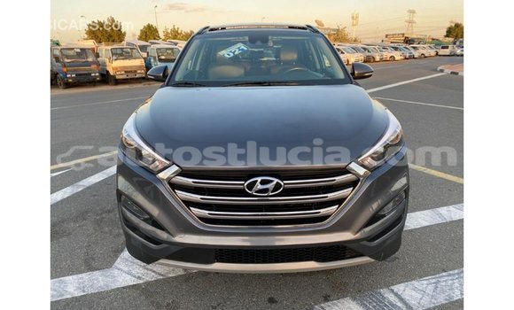 Buy Import Hyundai Tucson Other Car in Import - Dubai in Anse-la-Raye Buy Import Hyundai Tucson Other Car in Import - Dubai in Anse-la-Raye