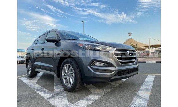 Buy Import Hyundai Tucson White Car in Import - Dubai in Anse-la-Raye Buy Import Hyundai Tucson White Car in Import - Dubai in Anse-la-Raye