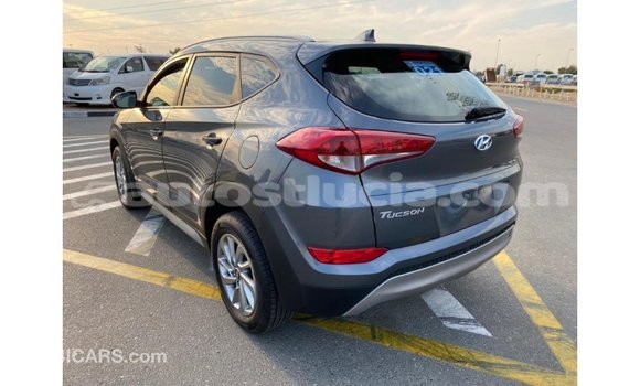 Buy Import Hyundai Tucson White Car in Import - Dubai in Anse-la-Raye Buy Import Hyundai Tucson White Car in Import - Dubai in Anse-la-Raye