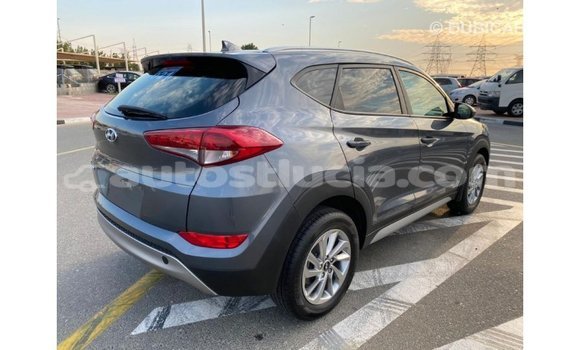 Buy Import Hyundai Tucson White Car in Import - Dubai in Anse-la-Raye Buy Import Hyundai Tucson White Car in Import - Dubai in Anse-la-Raye