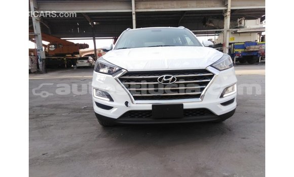 Buy Import Hyundai Tucson White Car in Import - Dubai in Anse-la-Raye Buy Import Hyundai Tucson White Car in Import - Dubai in Anse-la-Raye
