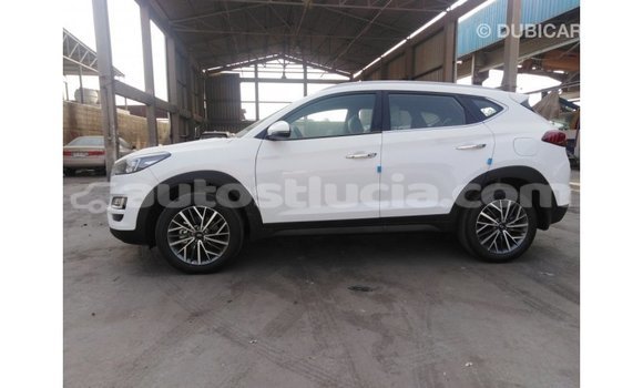 Buy Import Hyundai Tucson White Car in Import - Dubai in Anse-la-Raye Buy Import Hyundai Tucson White Car in Import - Dubai in Anse-la-Raye