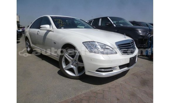 Buy Import Mercedes-Benz 190 (W201) White Car in Import - Dubai in Anse-la-Raye Buy Import Mercedes-Benz 190 (W201) White Car in Import - Dubai in Anse-la-Raye