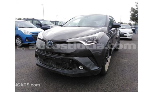 Buy Import Toyota C-HR Other Car in Import - Dubai in Anse-la-Raye Buy Import Toyota C-HR Other Car in Import - Dubai in Anse-la-Raye