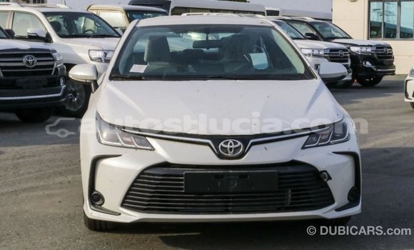 Buy Import Toyota Corolla White Car in Import - Dubai in Anse-la-Raye Buy Import Toyota Corolla White Car in Import - Dubai in Anse-la-Raye