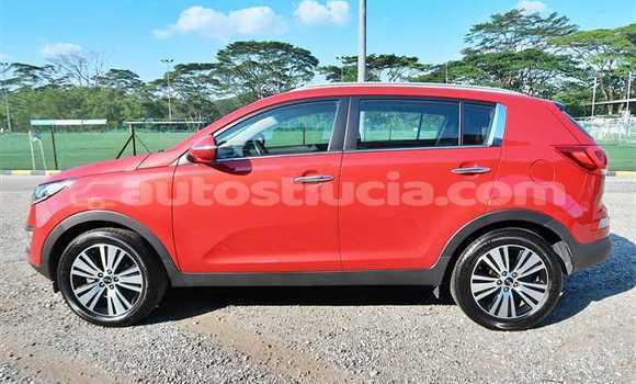 Buy Used Kia Sportage Red Car in Canaries in Canaries Buy Used Kia Sportage Red Car in Canaries in Canaries