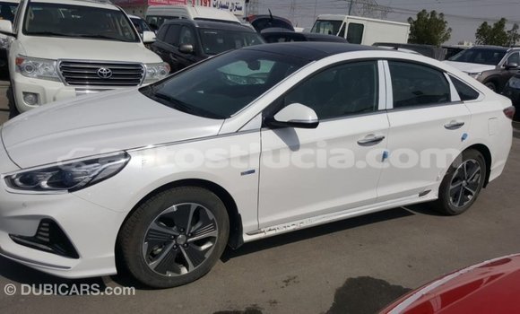Buy Import Hyundai Sonata White Car in Import - Dubai in Anse-la-Raye Buy Import Hyundai Sonata White Car in Import - Dubai in Anse-la-Raye
