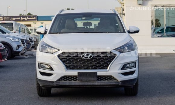 Acheter Import Voiture Hyundai Tucson Blanc à Import - Dubai, Anse-la-Raye Acheter Import Voiture Hyundai Tucson Blanc à Import - Dubai, Anse-la-Raye