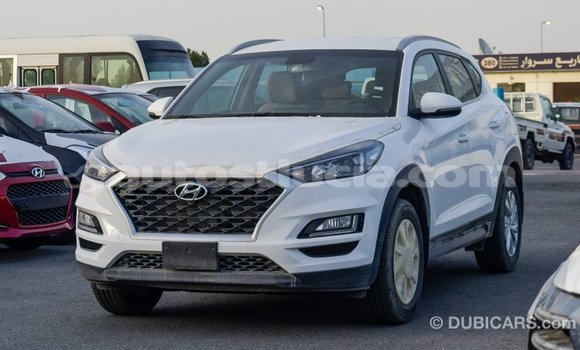 Acheter Import Voiture Hyundai Tucson Blanc à Import - Dubai, Anse-la-Raye Acheter Import Voiture Hyundai Tucson Blanc à Import - Dubai, Anse-la-Raye