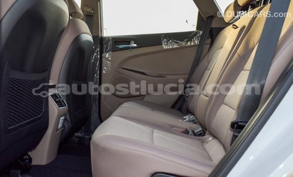 Acheter Import Voiture Hyundai Tucson Blanc à Import - Dubai, Anse-la-Raye Acheter Import Voiture Hyundai Tucson Blanc à Import - Dubai, Anse-la-Raye