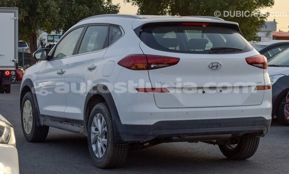 Acheter Import Voiture Hyundai Tucson Blanc à Import - Dubai, Anse-la-Raye Acheter Import Voiture Hyundai Tucson Blanc à Import - Dubai, Anse-la-Raye
