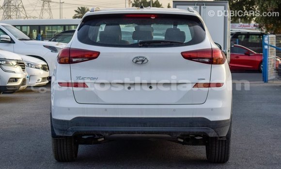 Acheter Import Voiture Hyundai Tucson Blanc à Import - Dubai, Anse-la-Raye Acheter Import Voiture Hyundai Tucson Blanc à Import - Dubai, Anse-la-Raye