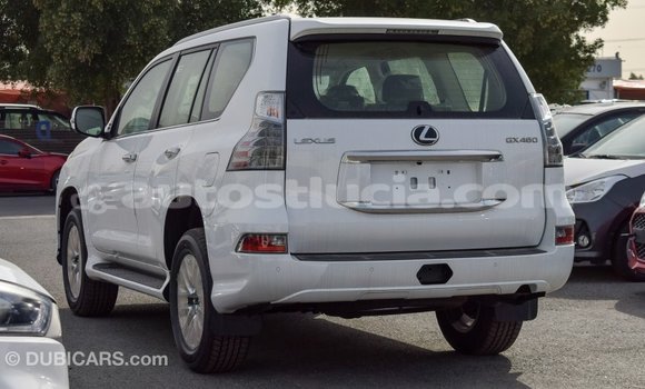 Buy Import Lexus GX White Car in Import - Dubai in Anse-la-Raye Buy Import Lexus GX White Car in Import - Dubai in Anse-la-Raye