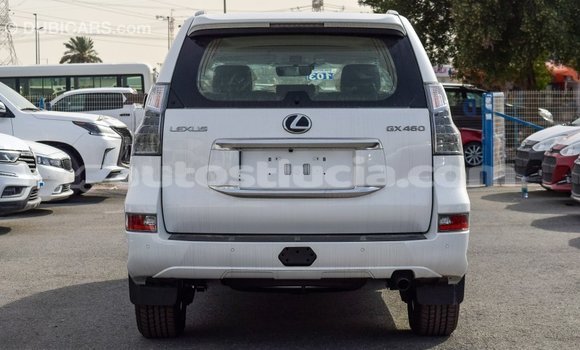 Buy Import Lexus GX White Car in Import - Dubai in Anse-la-Raye Buy Import Lexus GX White Car in Import - Dubai in Anse-la-Raye