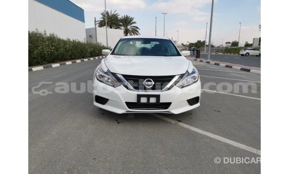 Buy Import Nissan Altima White Car in Import - Dubai in Anse-la-Raye Buy Import Nissan Altima White Car in Import - Dubai in Anse-la-Raye