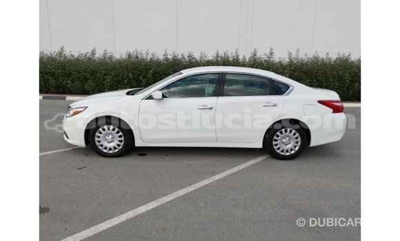 Buy Import Nissan Altima White Car in Import - Dubai in Anse-la-Raye Buy Import Nissan Altima White Car in Import - Dubai in Anse-la-Raye