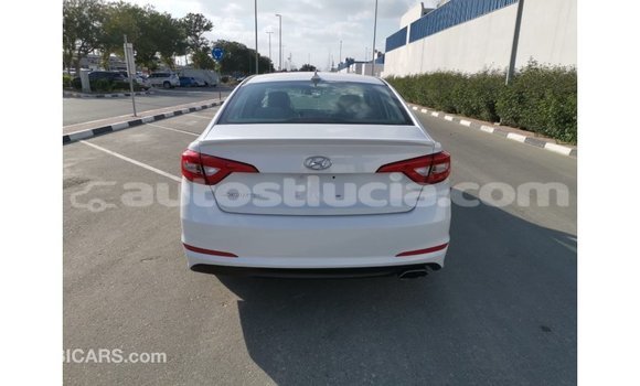 Acheter Import Voiture Hyundai Sonata Blanc à Import - Dubai, Anse-la-Raye Acheter Import Voiture Hyundai Sonata Blanc à Import - Dubai, Anse-la-Raye