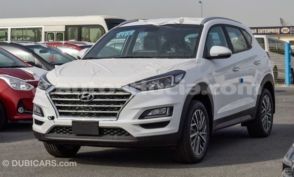 Acheter Import Voiture Hyundai Tucson Blanc à Import - Dubai, Anse-la-Raye Acheter Import Voiture Hyundai Tucson Blanc à Import - Dubai, Anse-la-Raye