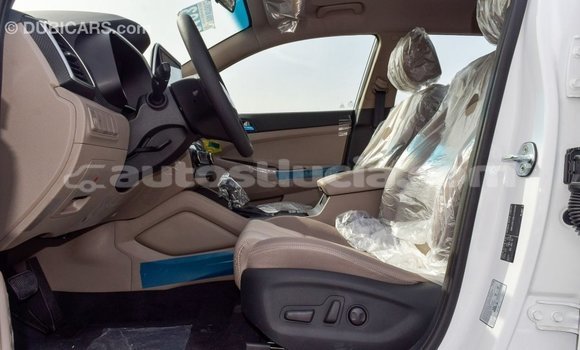 Acheter Import Voiture Hyundai Tucson Blanc à Import - Dubai, Anse-la-Raye Acheter Import Voiture Hyundai Tucson Blanc à Import - Dubai, Anse-la-Raye