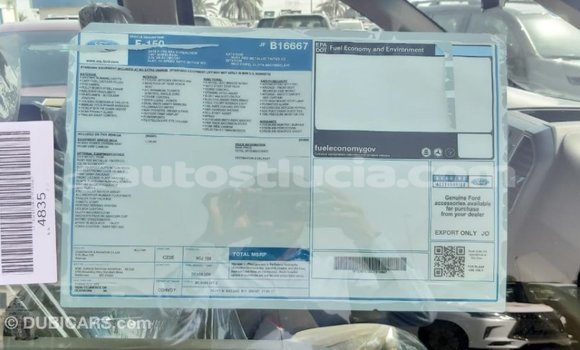 Buy Import Ford Club Wagon Red Car in Import - Dubai in Anse-la-Raye Buy Import Ford Club Wagon Red Car in Import - Dubai in Anse-la-Raye