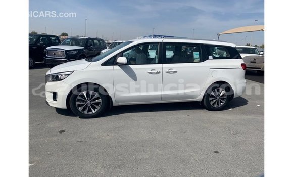 Buy Import Kia Carnival White Car in Import - Dubai in Anse-la-Raye Buy Import Kia Carnival White Car in Import - Dubai in Anse-la-Raye