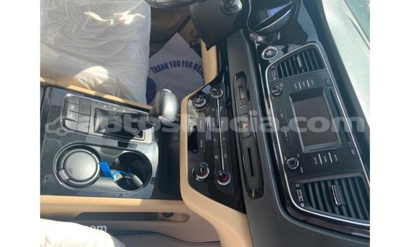 Buy Import Kia Carnival White Car in Import - Dubai in Anse-la-Raye Buy Import Kia Carnival White Car in Import - Dubai in Anse-la-Raye