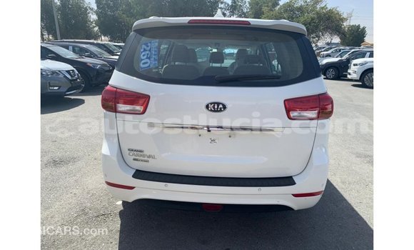 Buy Import Kia Carnival White Car in Import - Dubai in Anse-la-Raye Buy Import Kia Carnival White Car in Import - Dubai in Anse-la-Raye