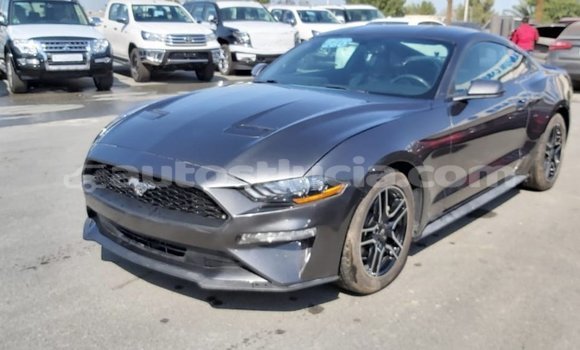 Buy Import Ford Mustang Other Car in Import - Dubai in Anse-la-Raye Buy Import Ford Mustang Other Car in Import - Dubai in Anse-la-Raye