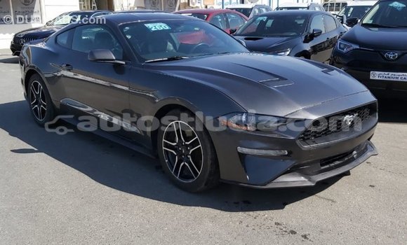 Buy Import Ford Mustang Other Car in Import - Dubai in Anse-la-Raye Buy Import Ford Mustang Other Car in Import - Dubai in Anse-la-Raye
