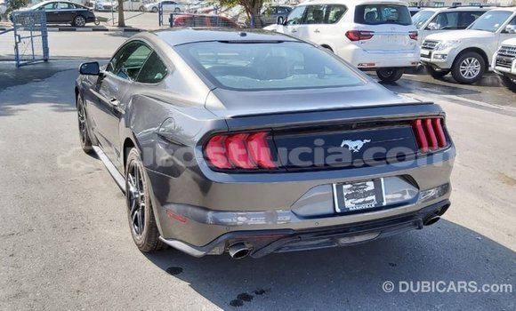 Buy Import Ford Mustang Other Car in Import - Dubai in Anse-la-Raye Buy Import Ford Mustang Other Car in Import - Dubai in Anse-la-Raye