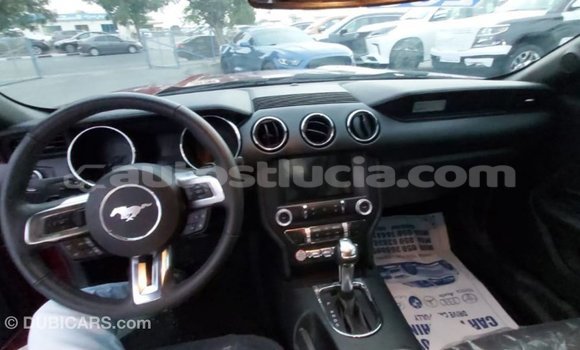 Buy Import Ford Mustang Red Car in Import - Dubai in Anse-la-Raye Buy Import Ford Mustang Red Car in Import - Dubai in Anse-la-Raye