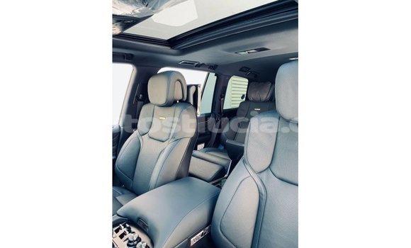 Buy Import Lexus LX Black Car in Import - Dubai in Anse-la-Raye Buy Import Lexus LX Black Car in Import - Dubai in Anse-la-Raye